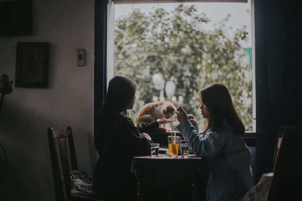 Pet-Friendly Dining: How Pet Restaurants Are Combining Food and Furry Companionship