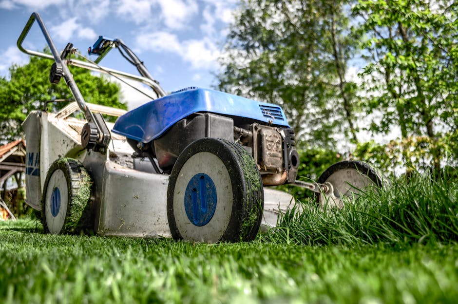 Lawn Care Service Business